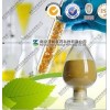 杨桃浓缩粉 厂家直销（现货）