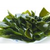 昆布提取物 工厂生产 代加工植物提取物