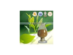 [ 茶多酚 ]防治心血管  来自天然植物提取物