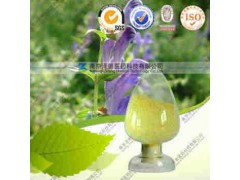 黄芩提取物（有现货）工厂生产 代加工植物提取物