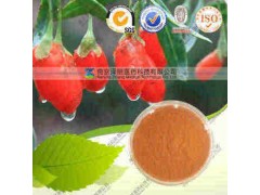 枸杞提取物（有现货）工厂生产 代加工植物提取物