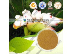 高良姜提取物（有现货）工厂生产 代加工植物提取物