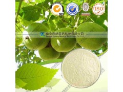 罗汉果提取物 工厂生产哪家好 南京泽朗