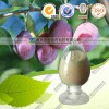 乌梅提取物 工厂生产哪家好 南京泽朗