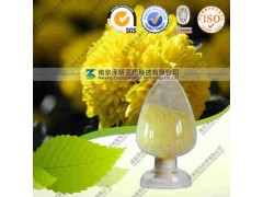 菊花提取物 工厂生产哪家好 南京泽朗