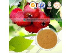 山楂提取物 工厂生产哪家好 南京泽朗