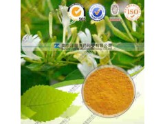 金银花提取物 工厂生产哪家好 南京泽朗