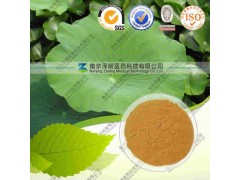 荷叶提取物 工厂生产哪家好 南京泽朗