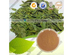 番泻叶提取物 代加工植物提取物  南京泽朗