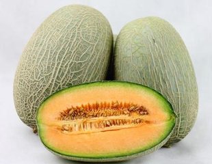 代加工哈密瓜浓缩粉  南京泽朗