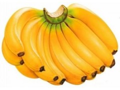 香蕉浓缩粉 工厂生产 代加工植物提取物