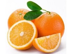 甜橙浓缩粉 工厂生产 代加工植物提取物
