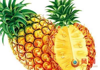 菠萝浓缩粉 工厂生产 代加工植物提取物