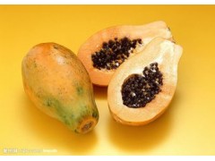 木瓜浓缩粉 工厂生产 代加工植物提取物