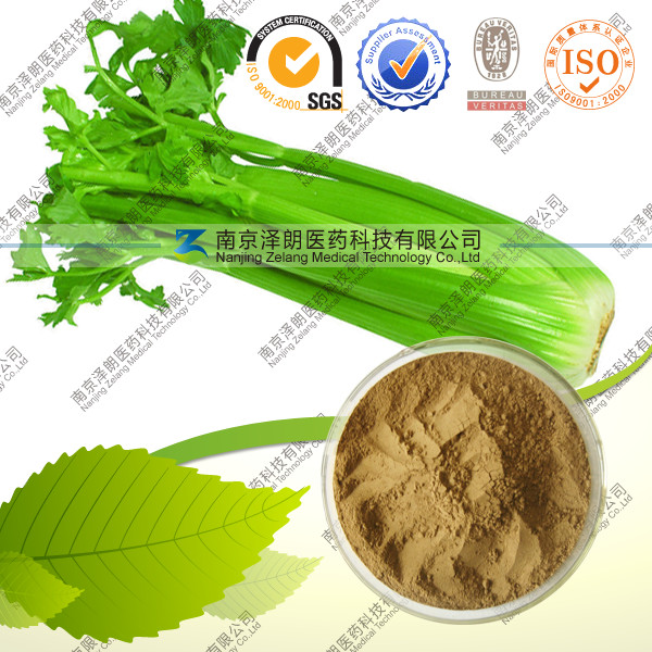 供应芹菜浓缩粉 固体饮料 保健品原料 厂家直销