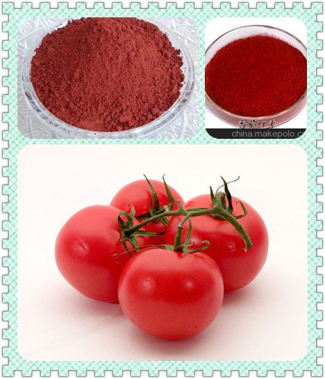 供应高含量番茄红素 6-96% 十二年厂家 现货直销
