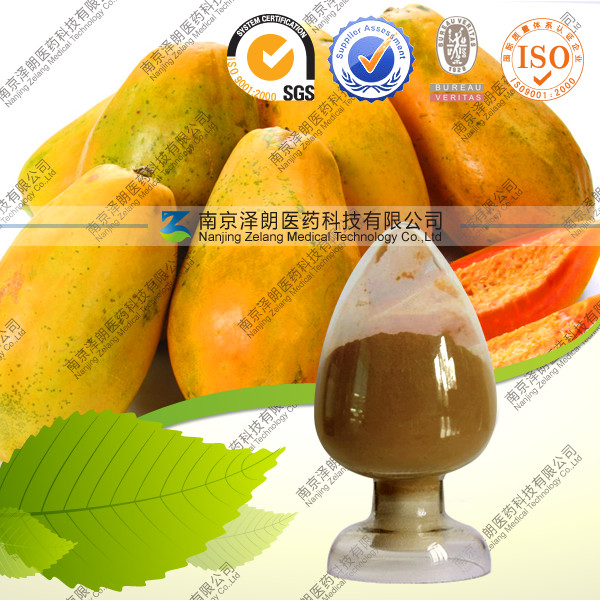 供应木瓜提取物 QS厂家提供木瓜固体饮料代加工
