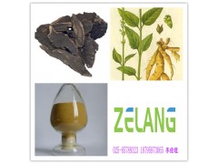 供应玄参提取物 10:1 厂家低价现货直销