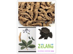 供应生地提取物 生地多糖 厂家现货直销