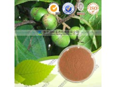 臀果木提取物 代加工植物提取物 价格优惠 量大从优