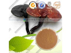 灵芝提取物 工厂生产 代加工植物提取物 量大从优