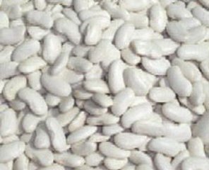 白扁豆提取物（有现货）工厂生产 代加工植物提取物