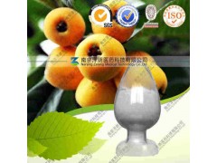 熊果酸17%62%工厂生产 代加工植物提取物