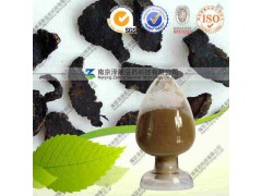 生地黄提取物 工厂生产 代加工植物提取物