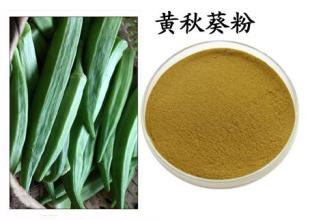 提供优质天然植物提取物 黄秋葵浓缩粉