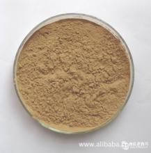全国供应天然的植物提取物 蘑菇浓缩粉