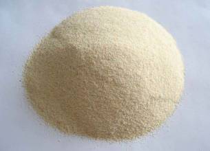 大大量提供价廉物美的植物提取物 大蒜浓缩粉