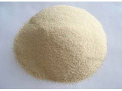 大大量提供价廉物美的植物提取物 大蒜浓缩粉