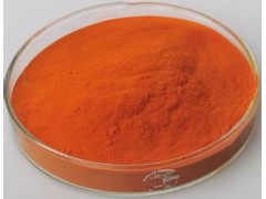 全国供应天然的植物提取物 胡萝卜浓缩粉