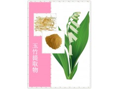 供应玉竹提取物 10:1 QS厂家 现货销售