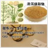 供应泽泻提取物 10：1 厂家大量现货直销 量大从优
