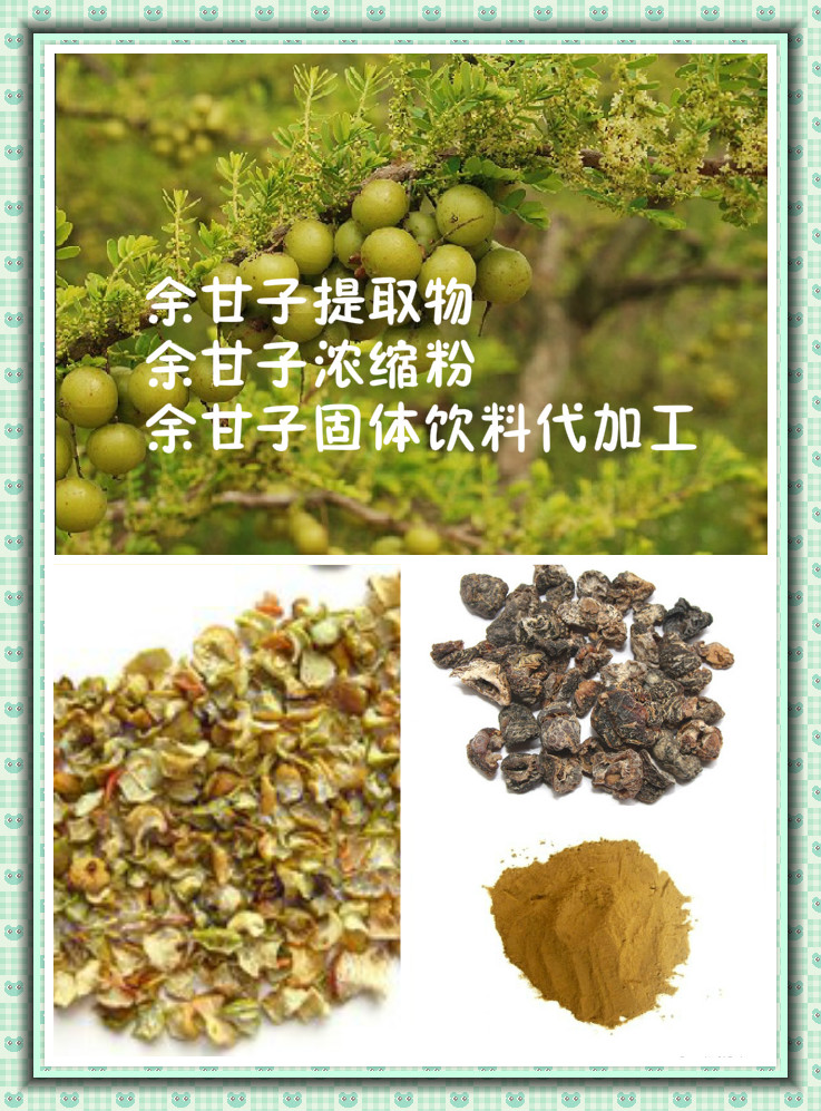 供应余甘子提取物 10:1 QS厂家 现货直销
