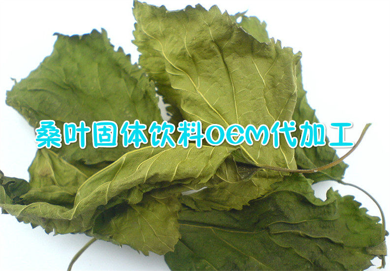 供应桑叶提取物 桑叶固体饮料代加工 QS厂家OEM代加工