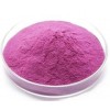 植物提取物生产商供应 紫薯浓缩粉