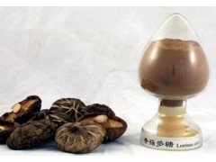 泽朗集团为您供应优质的植物提取物 香菇浓缩粉