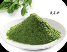 大量提供植物提取物菠菜浓缩粉 价廉物美