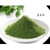 大量提供植物提取物菠菜浓缩粉 价廉物美