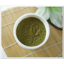 大量提供植物提取物黄瓜浓缩粉 价廉物美