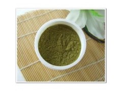 大量提供植物提取物黄瓜浓缩粉 价廉物美