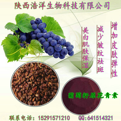 葡萄籽