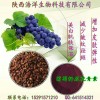 葡萄籽
