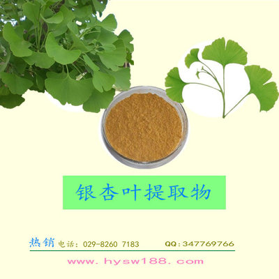 银杏叶提取物