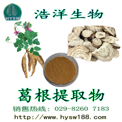 葛根提取物