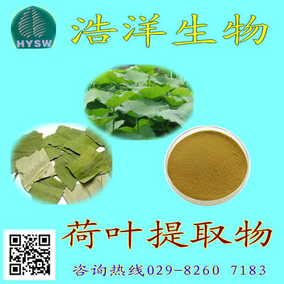 荷叶提取物
