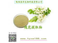 槐花提取物