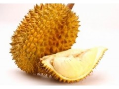 榴莲提取物 工厂生产 代加工植物提取物